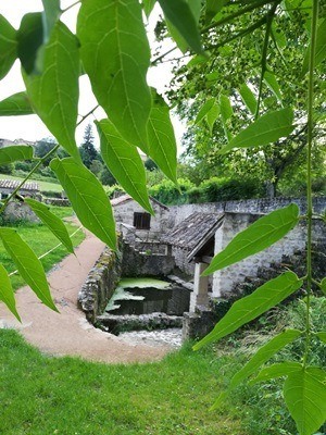 lavoir1